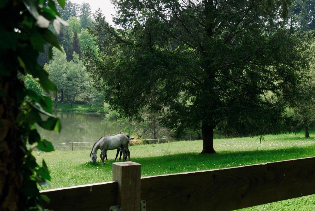 Manoir De Chantemerle Sainte-Fortunade Екстер'єр фото