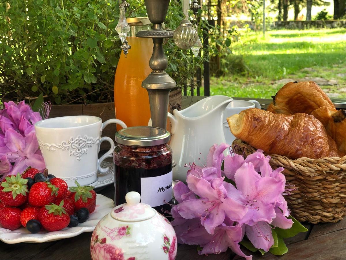 Manoir De Chantemerle Sainte-Fortunade Екстер'єр фото