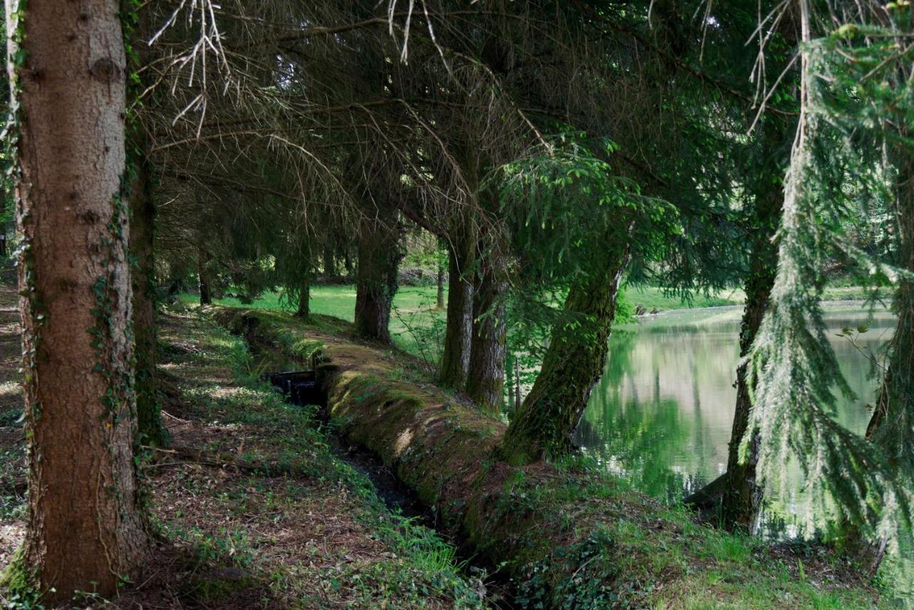 Manoir De Chantemerle Sainte-Fortunade Екстер'єр фото